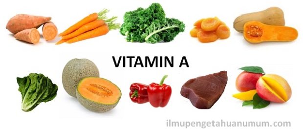10 Makanan yang mengandung Vitamin A Tertinggi