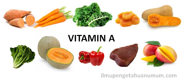 10 Makanan yang mengandung Vitamin A Tertinggi