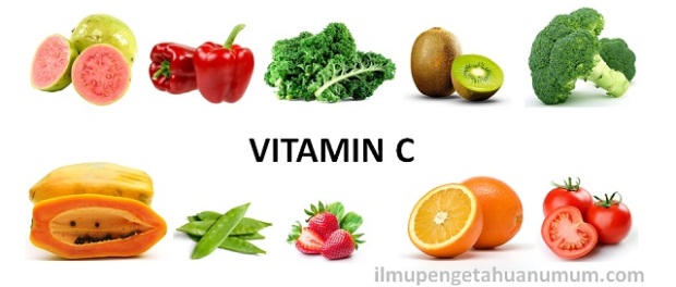Makanan yang mengandung Sumber Vitamin C Tertinggi