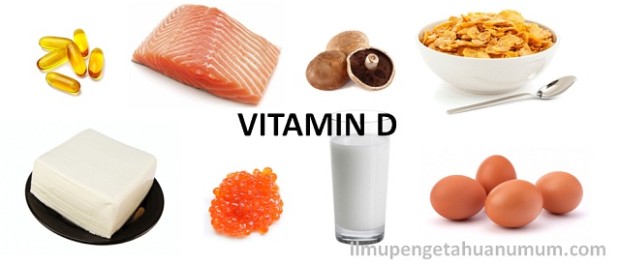 Makanan yang mengandung sumber Vitamin D Tertinggi