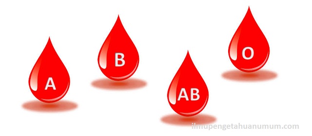 Hasil gambar untuk darah manusia