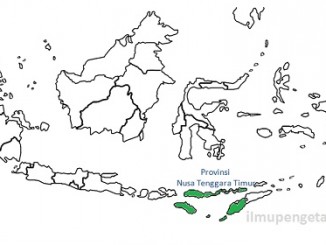 Daftar Kabupaten dan Kota di Provinsi Nusa Tenggara Timur