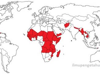Daftar Negara-negara Terbelakang di Dunia (Least Delveloped Countries)