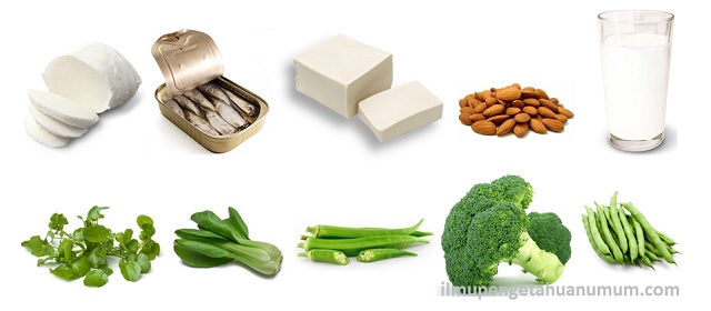 10 Makanan yang mengandung Kalsium Tertinggi