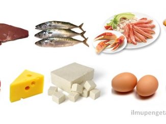 10 Makanan yang Mengandung Vitamin B12 (Kobalamin) Tertinggi