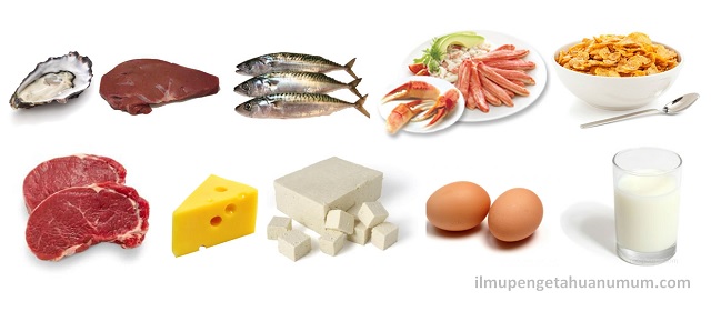 10 Makanan yang Mengandung Vitamin B12 (Kobalamin) Tertinggi