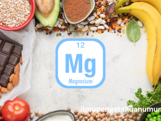manfaat Magnesium bagi kesehatan dan Angka kecukupan gizinya