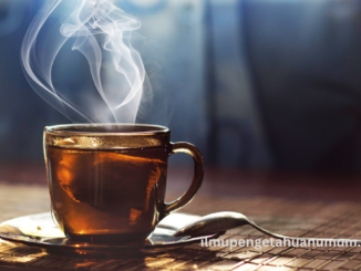 manfaat minum teh bagi kesehatan