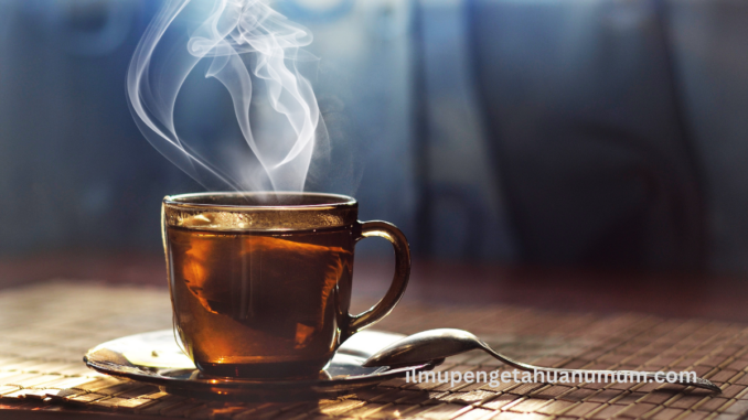 manfaat minum teh bagi kesehatan manfaat minum teh bagi kesehatan