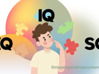 Perbedaan IQ, EQ, dan SQ: Mana yang Lebih Penting?