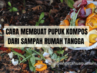 CARA MEMBUAT PUPUK KOMPOS
