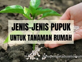 JENIS-JENIS PUPUK